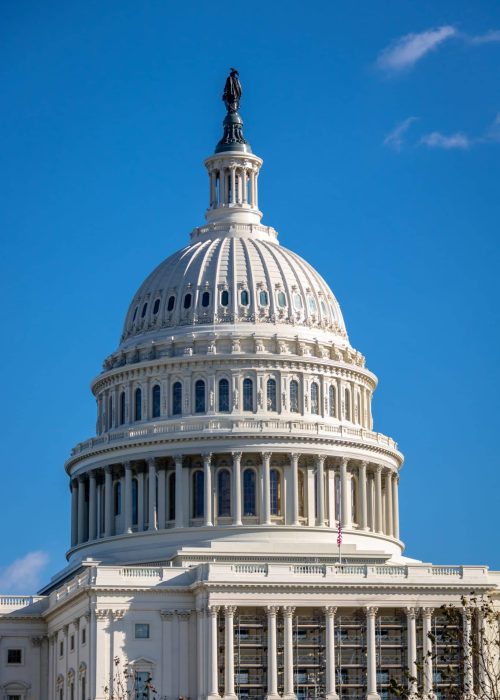 Dome of United States Capitol Building - Washington, DC, USA